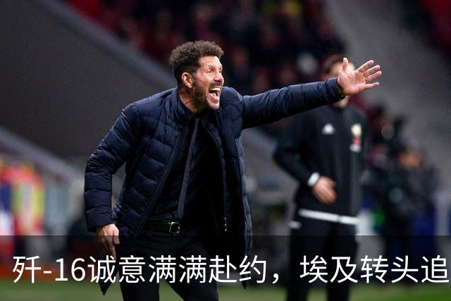 歼‑16诚意满满赴约，埃及转头追购阵风，歼-10手下败将凭啥？