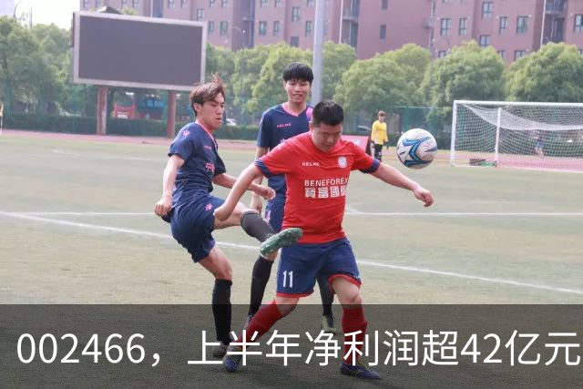 002466，上半年净利润超42亿元，同比增长超4900%